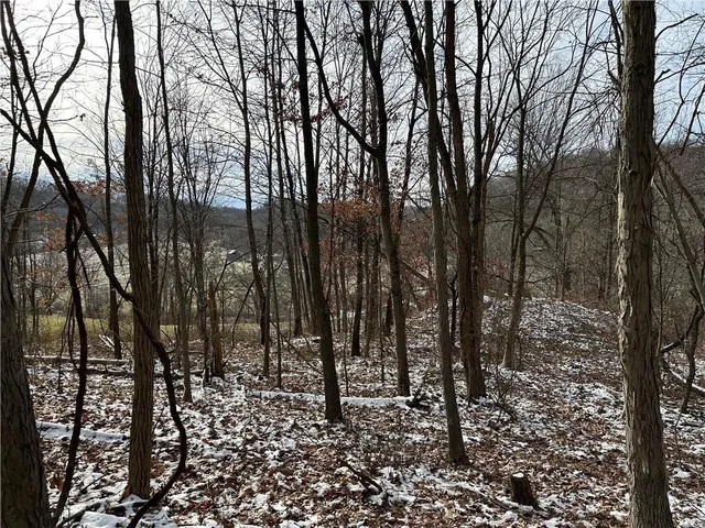 a view of outdoor space with lots of trees