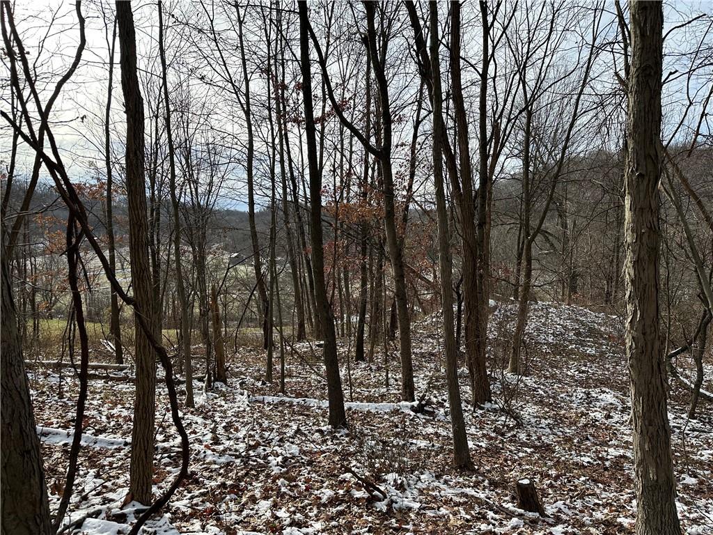 716 Rte 356 Apollo Pa Apollo, PA 15613 - Photo 5 of 8 a view of outdoor space with lots of trees