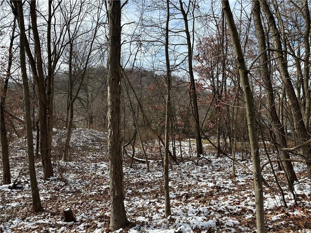 716 Rte 356 Apollo Pa Apollo, PA 15613 - Photo 6 of 8 a view of outdoor space