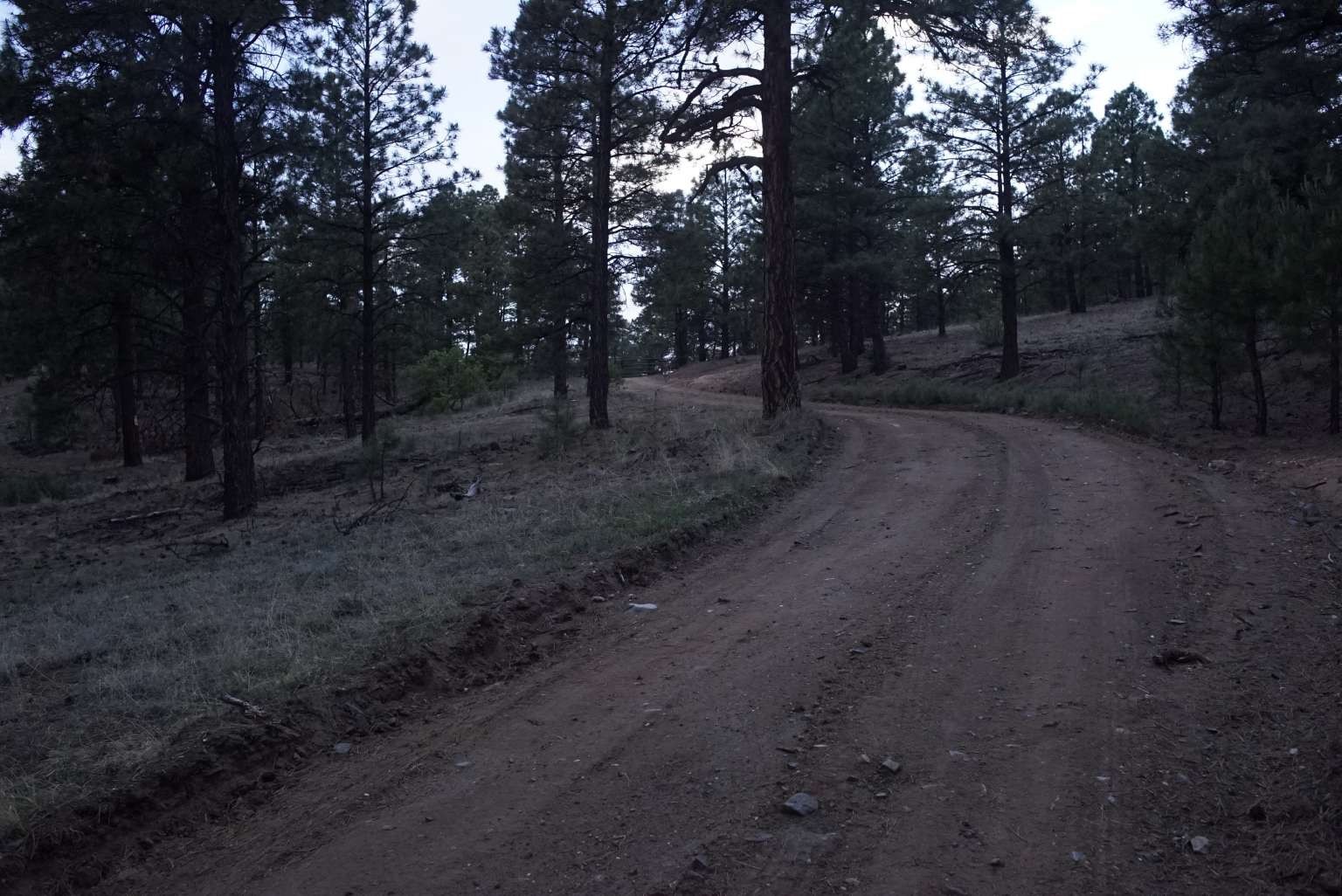 0 A015 County Road Mora, NM 87732 - Photo 31 of 40
