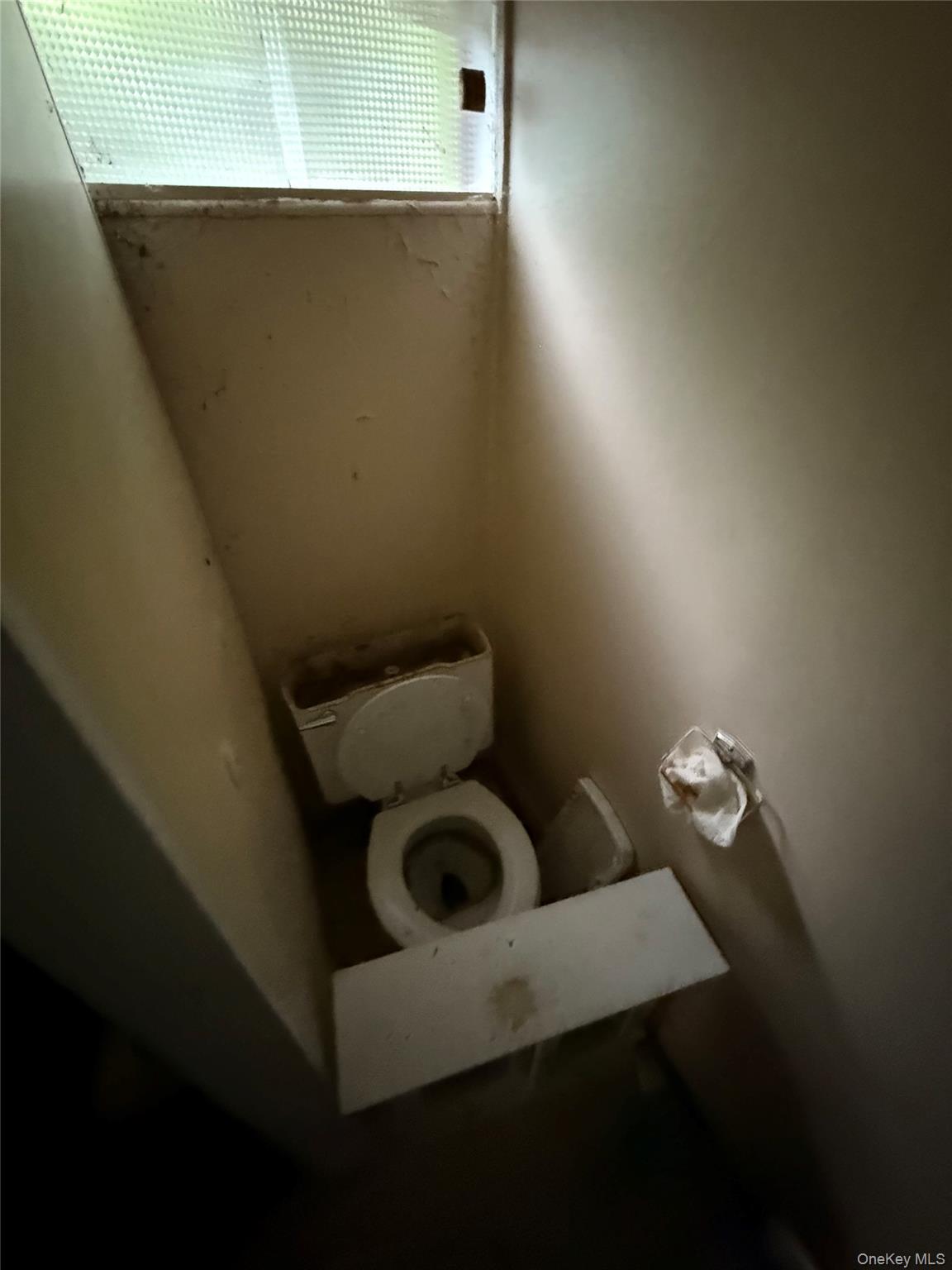 266 Sylvan Lake Road, Unit A13 Hopewell Junction, NY 12533 - Photo 8 of 13 Bathroom with toilet