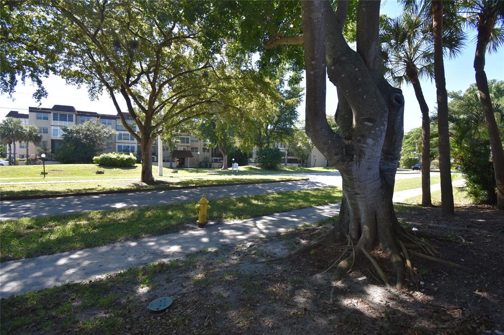 1713 Northwest 73rd Avenue, Unit 34 Plantation, FL 33313 - Photo 25 of 26 a view of a yard with a tree
