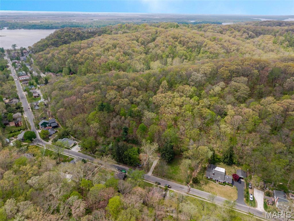 87 Mill Street Elsah, IL 62028 - Photo 6 of 47