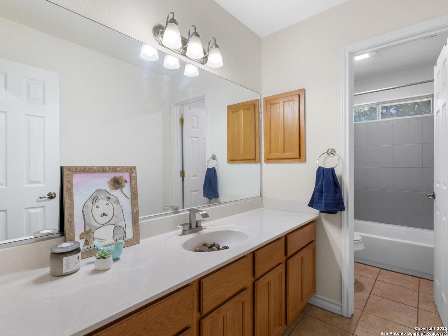 604 Guadalupe Drive Spring Branch, TX 78070 - Photo 21 of 41 a bathroom with a sink a shower and a mirror