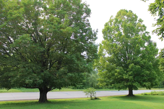 $255,000 | 138 Reach Road, Presque Isle, ME 04769