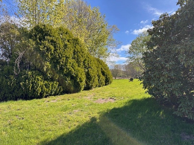 229-225 Providence Road Grafton, MA 01560 - Photo 19 of 20