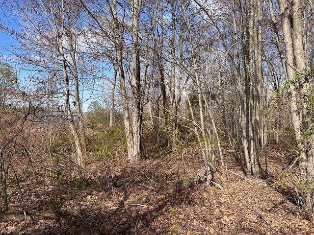 229-225 Providence Road Grafton, MA 01560 - Photo 9 of 20