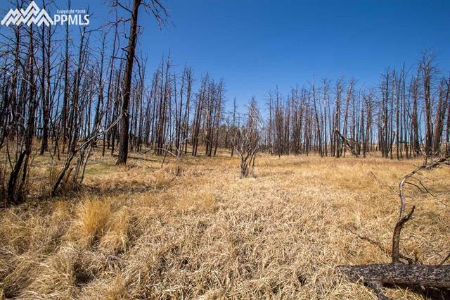 7680 Shoup Road Colorado Springs, CO 80908 - Photo 28 of 36 Gallery Image 28