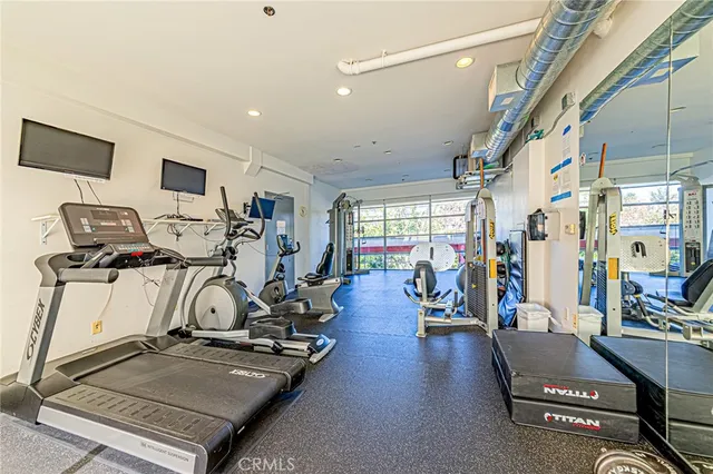 a view of a backyard with plants