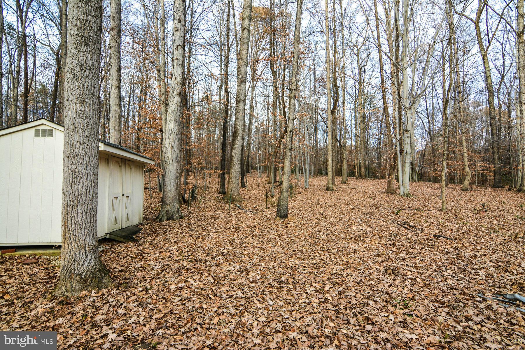 7210 Ridgeway Drive Manassas, VA 20112 - Photo 27 of 27 wooded lot