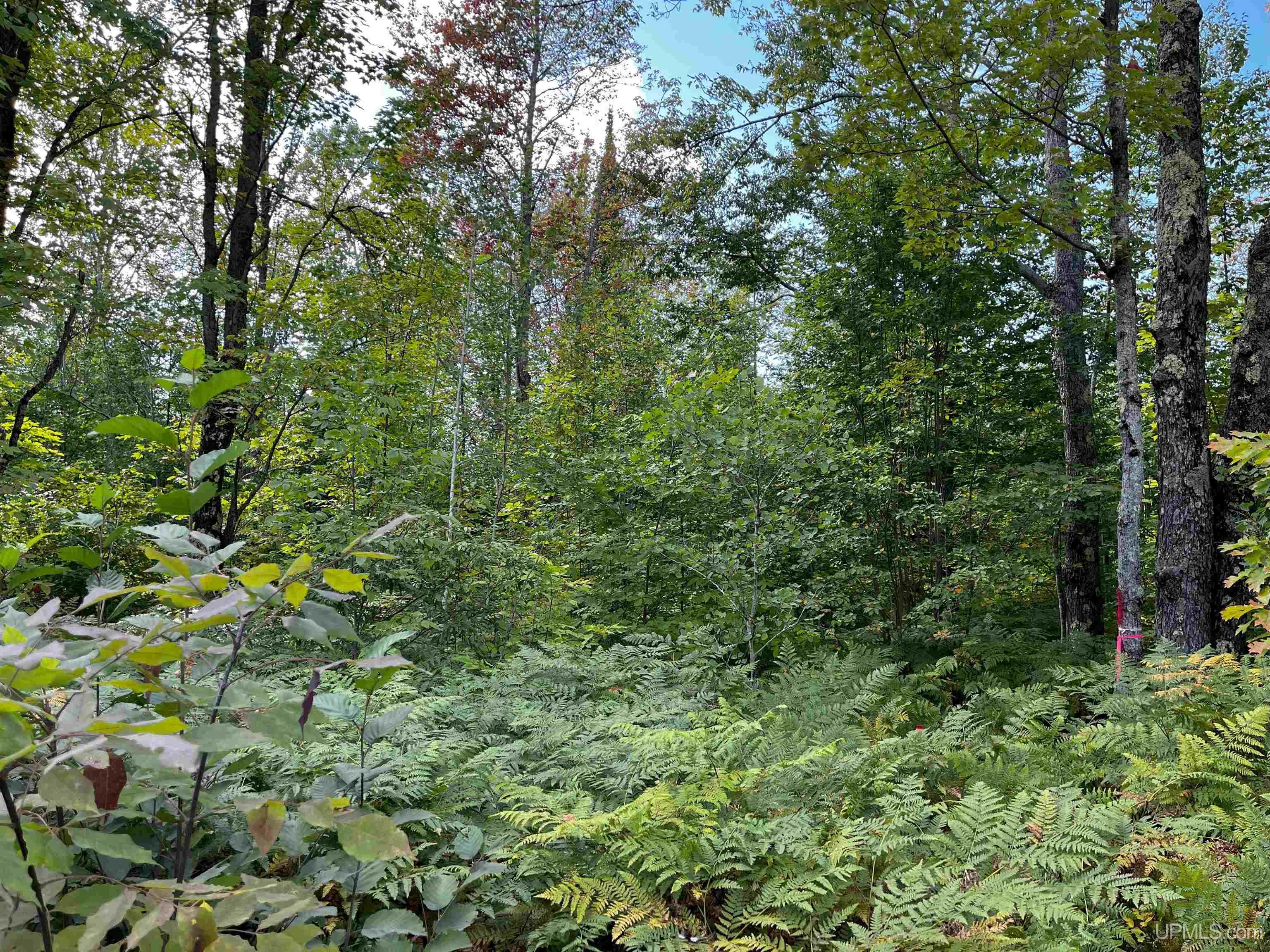 42587 Old Rink Road Toivola, MI 49965 - Photo 10 of 16 Gallery Image 10