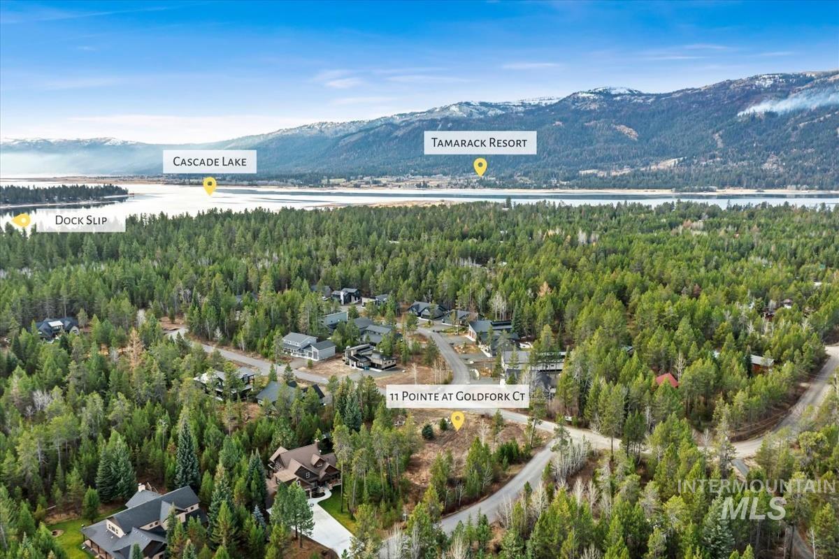 Aerial view of property's location featuring a forest and a water and mountain view