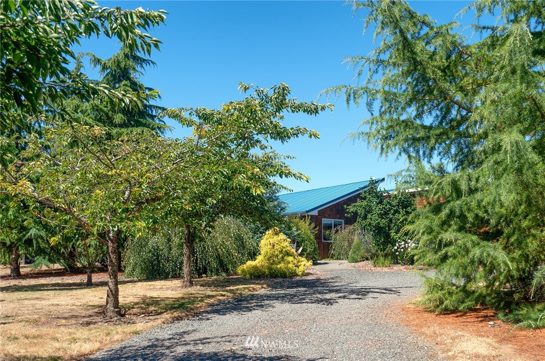 1976 Center Road Lopez Island, WA 98261 - Photo 3 of 26 a view of a park with plants and trees