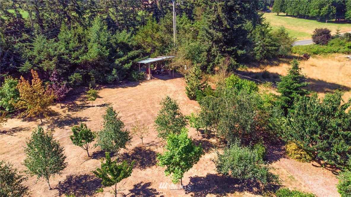 1976 Center Road Lopez Island, WA 98261 - Photo 26 of 26 a view of a yard with plants and large trees
