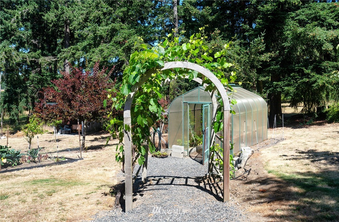 1976 Center Road Lopez Island, WA 98261 - Photo 7 of 26 a view of outdoor space yard and patio