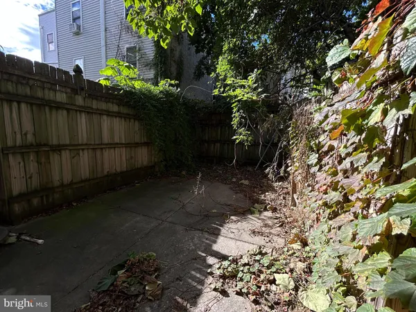 a view of a backyard