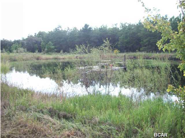 2633 Rolling Pines Road Chipley, FL 32428 - Photo 23 of 23 Gallery Image 23
