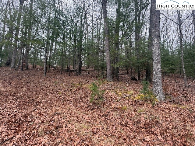 Clearview Ridge Crumpler, NC 28617 - Photo 12 of 15 a view of a forest filled with trees