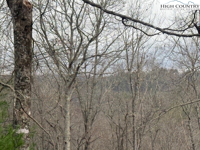 Clearview Ridge Crumpler, NC 28617 - Photo 13 of 15 a backyard of a house with lots of green space