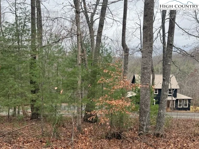 a view of a yard with large trees