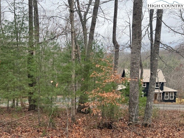 Clearview Ridge Crumpler, NC 28617 - Photo 14 of 15 a view of a yard with large trees