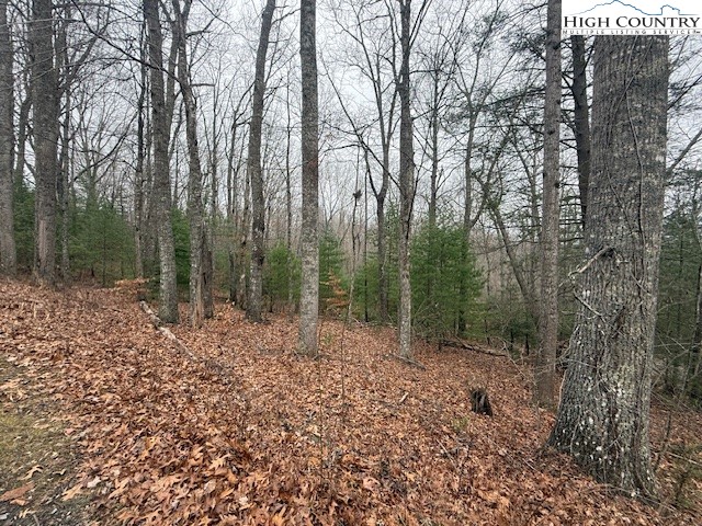 Clearview Ridge Crumpler, NC 28617 - Photo 15 of 15 a view of a forest with trees in the background