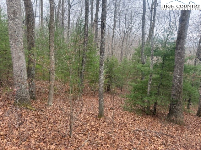 Clearview Ridge Crumpler, NC 28617 - Photo 2 of 15 a view of a forest with trees in the background