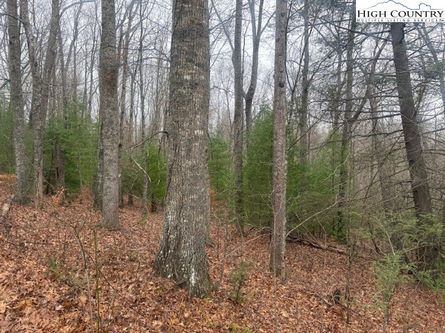 Clearview Ridge Crumpler, NC 28617 - Photo 4 of 15 a view of forest