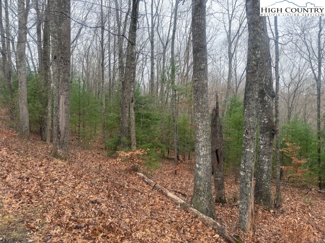 Clearview Ridge Crumpler, NC 28617 - Photo 5 of 15 a view of a forest with trees