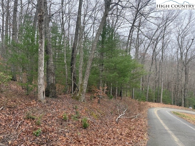 Clearview Ridge Crumpler, NC 28617 - Photo 6 of 15 a view of a forest filled with trees
