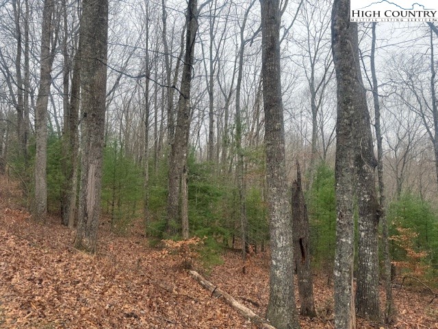Clearview Ridge Crumpler, NC 28617 - Photo 7 of 15 a view of a forest with trees in the background