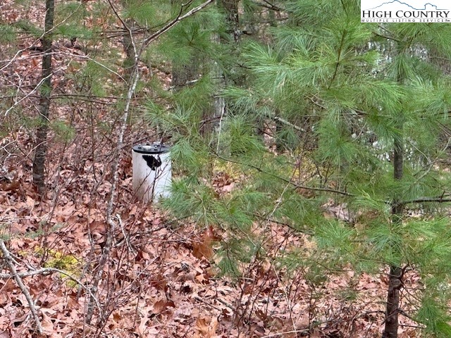 Clearview Ridge Crumpler, NC 28617 - Photo 8 of 15 a view of a backyard of the house