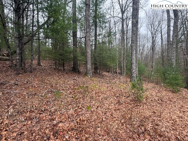 Clearview Ridge Crumpler, NC 28617 - Photo 9 of 15 a big yard with lots of green space and plants