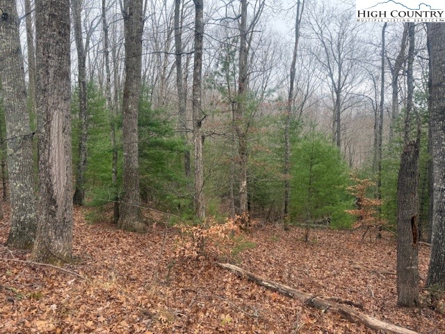 Clearview Ridge Crumpler, NC 28617 - Photo 10 of 15 a view of a forest filled with trees