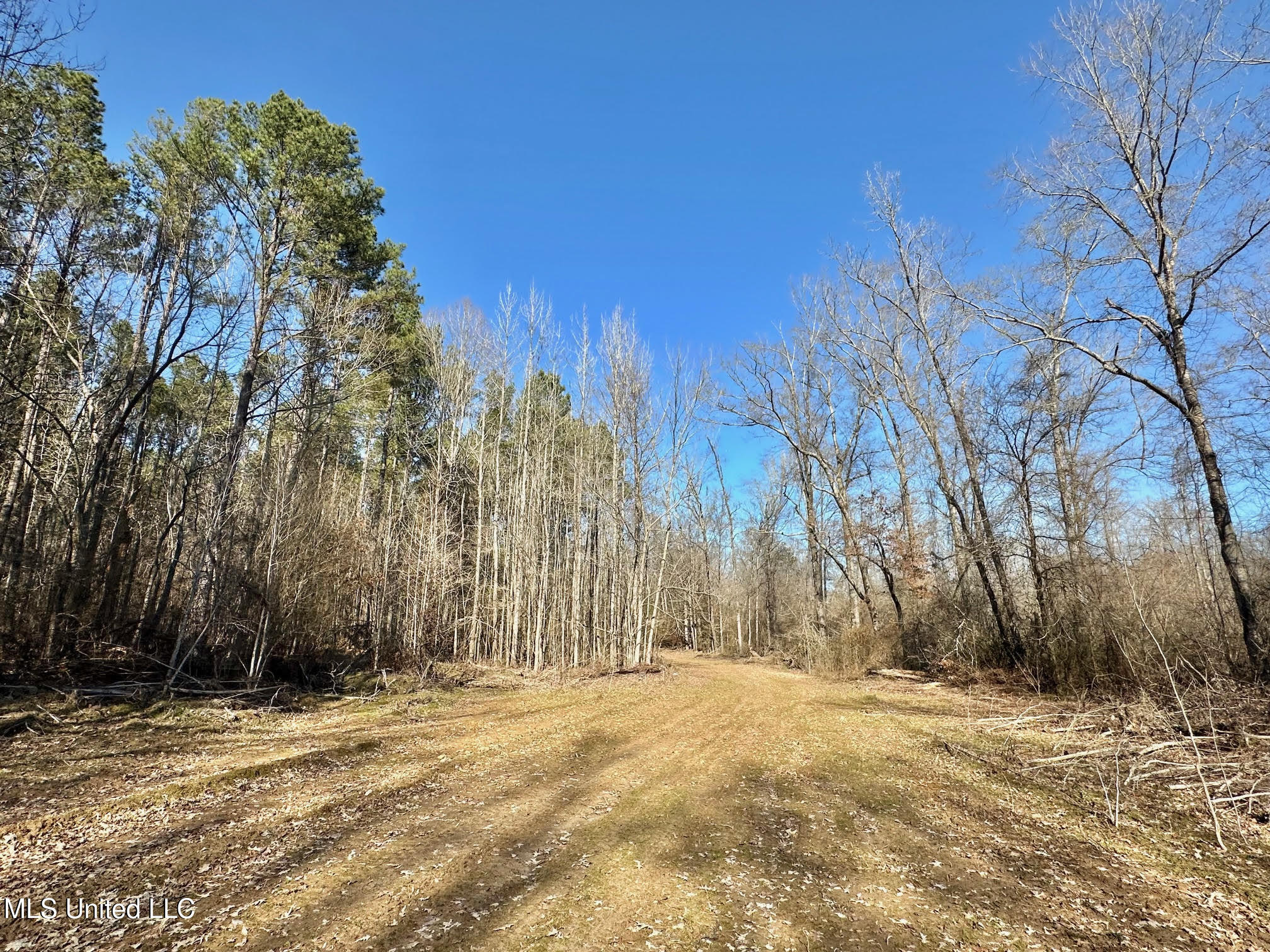 1 Evans Road Carthage, MS 39051 - Photo 101 of 149 127