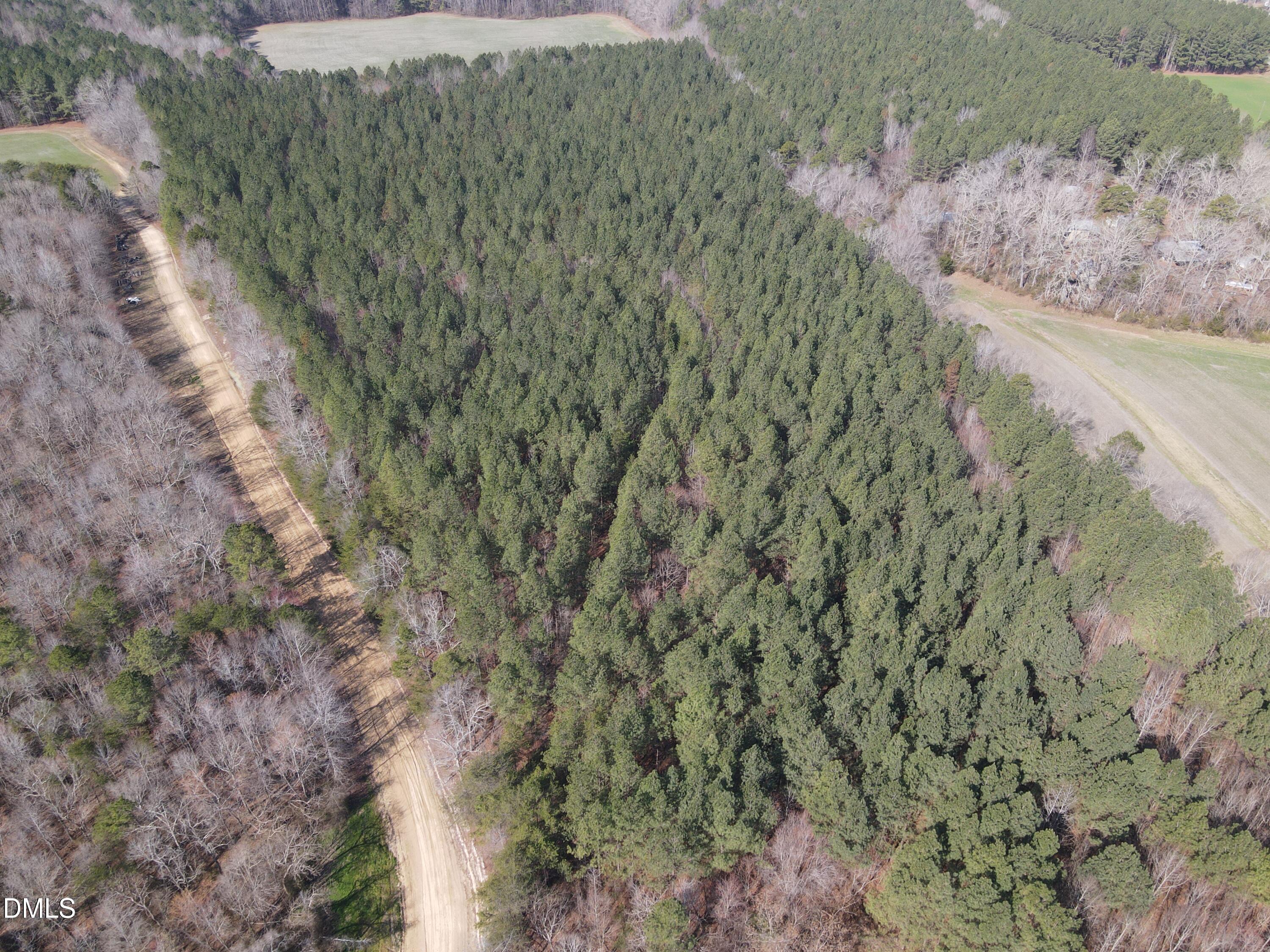 0 Cates Mill Road Roxboro, NC 27574 - Photo 20 of 31 DJI_0775