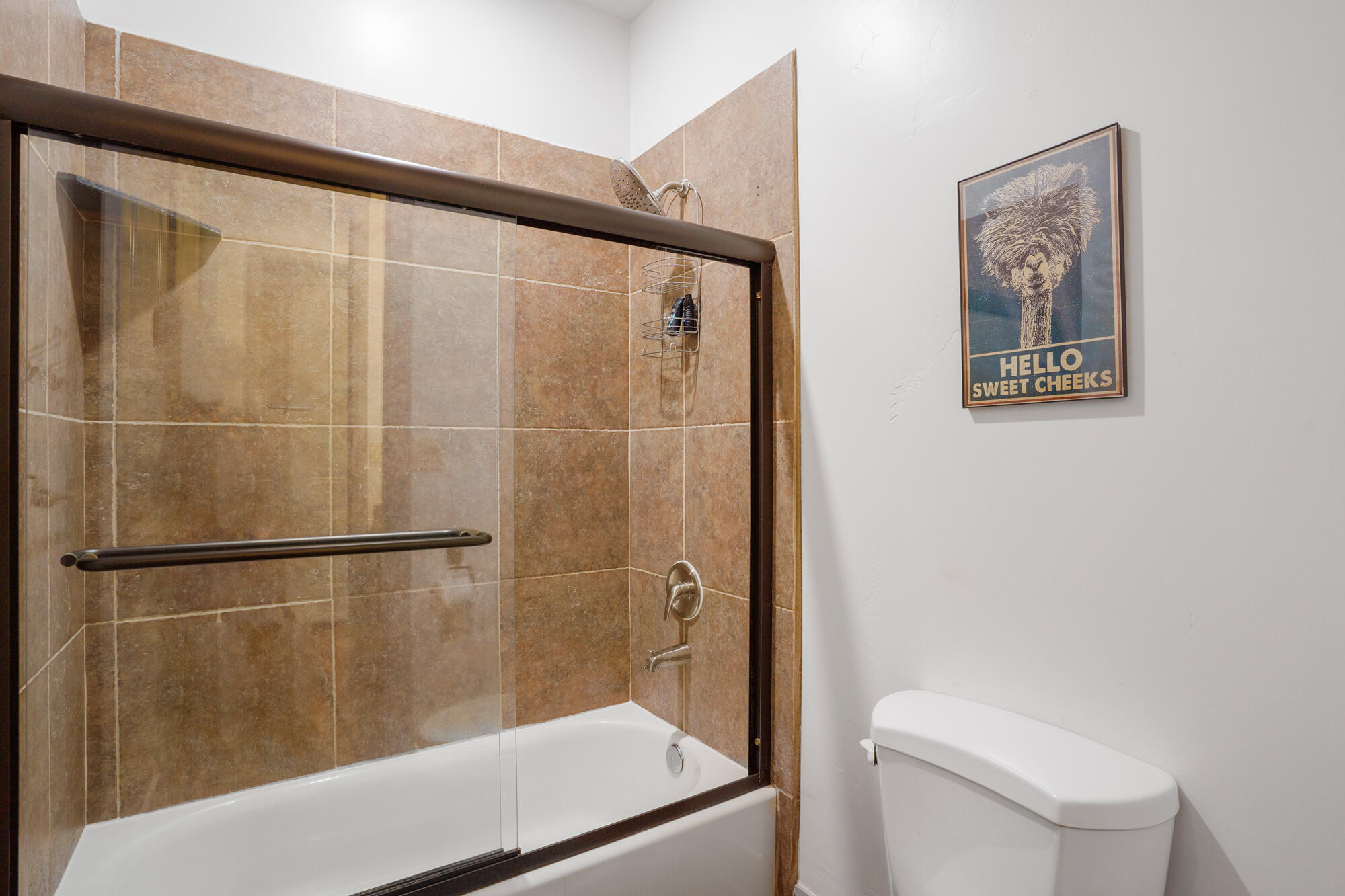655 East Lost Ridge Drive Washington, UT 84780 - Photo 22 of 58 Guest Bathroom