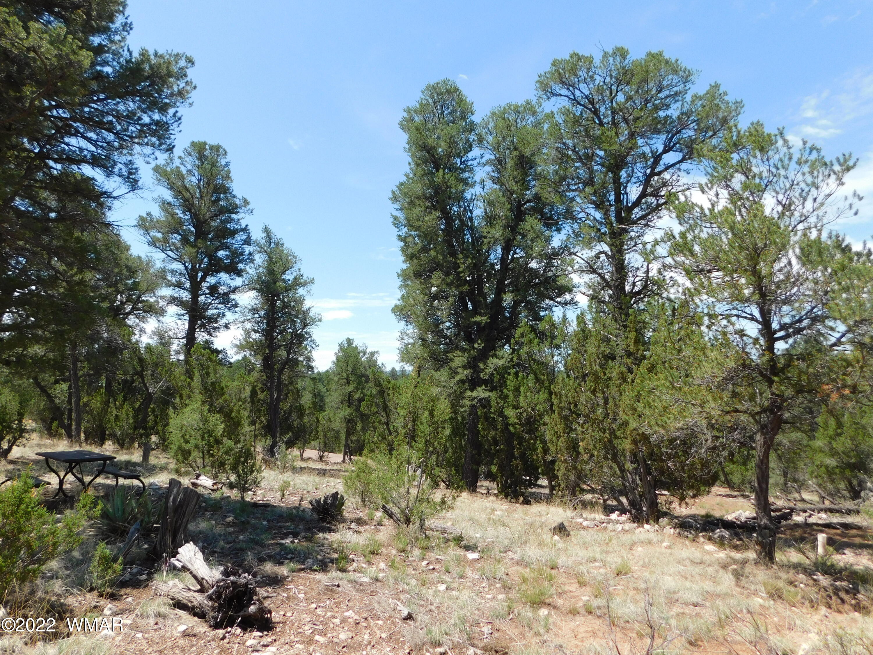 1919 Elk Road Heber, AZ 85928 - Photo 1 of 15