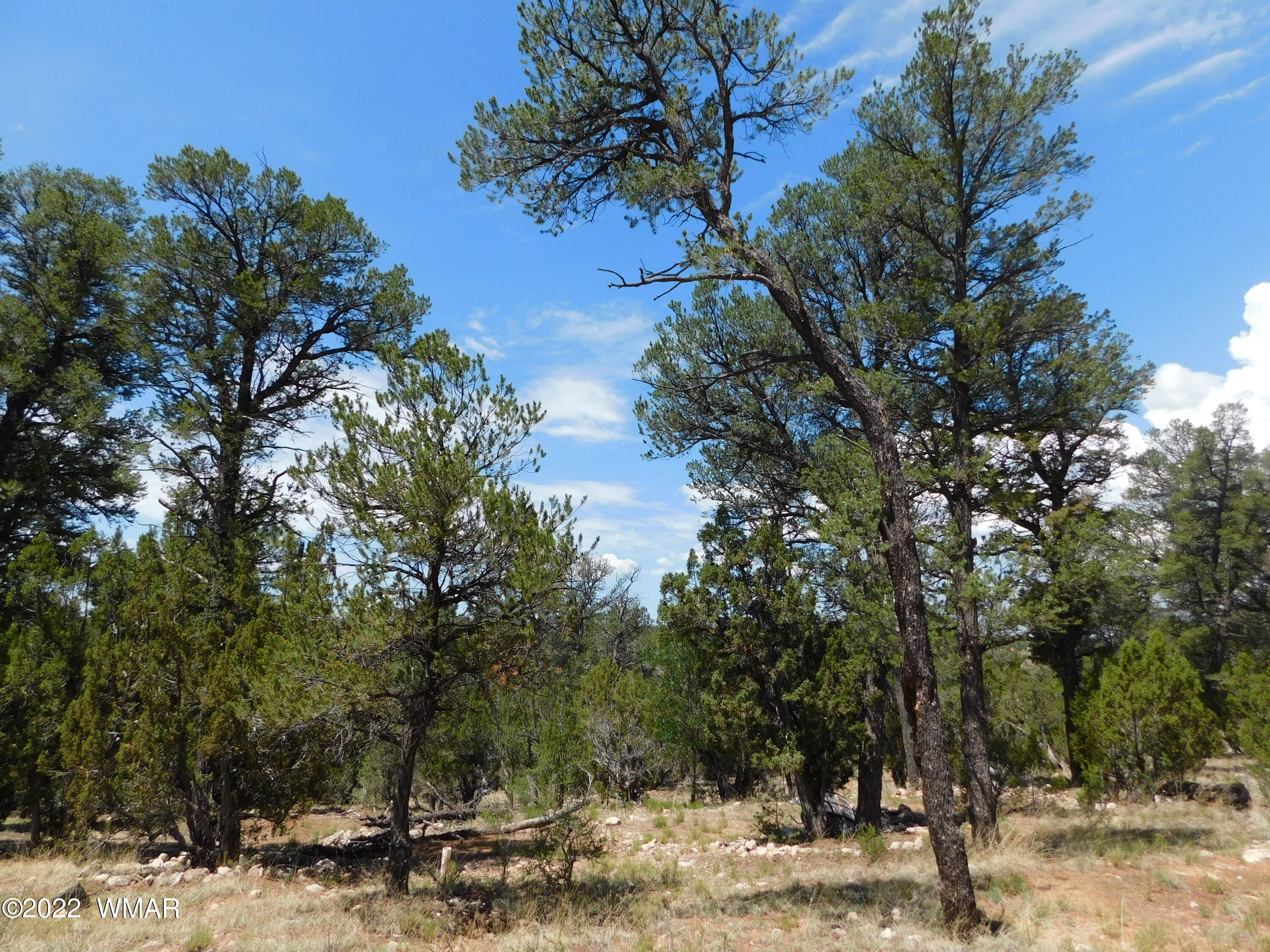 1919 Elk Road Heber, AZ 85928 - Photo 11 of 15