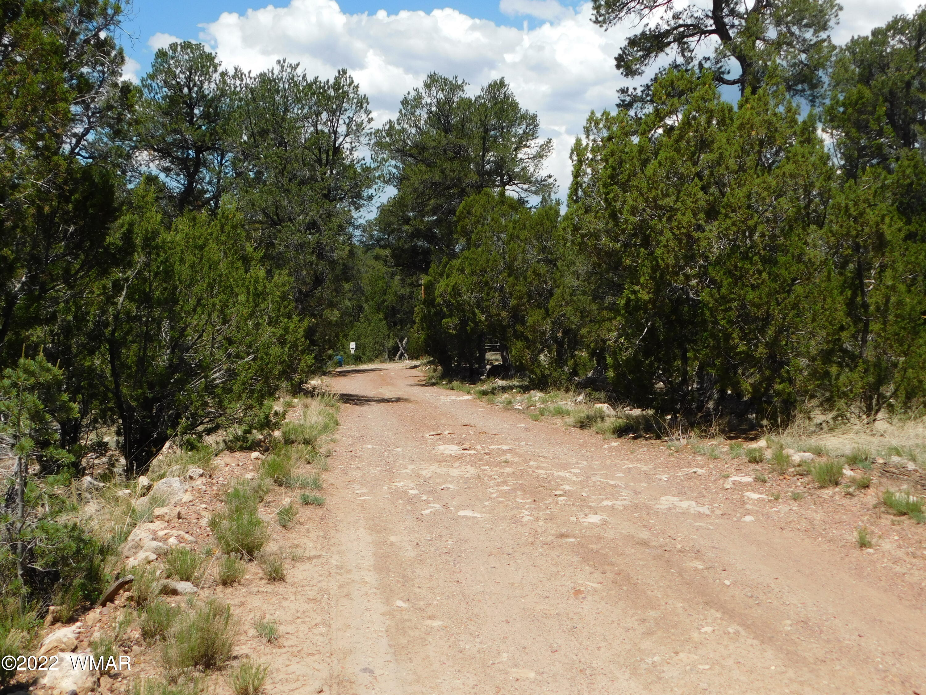 1919 Elk Road Heber, AZ 85928 - Photo 15 of 15