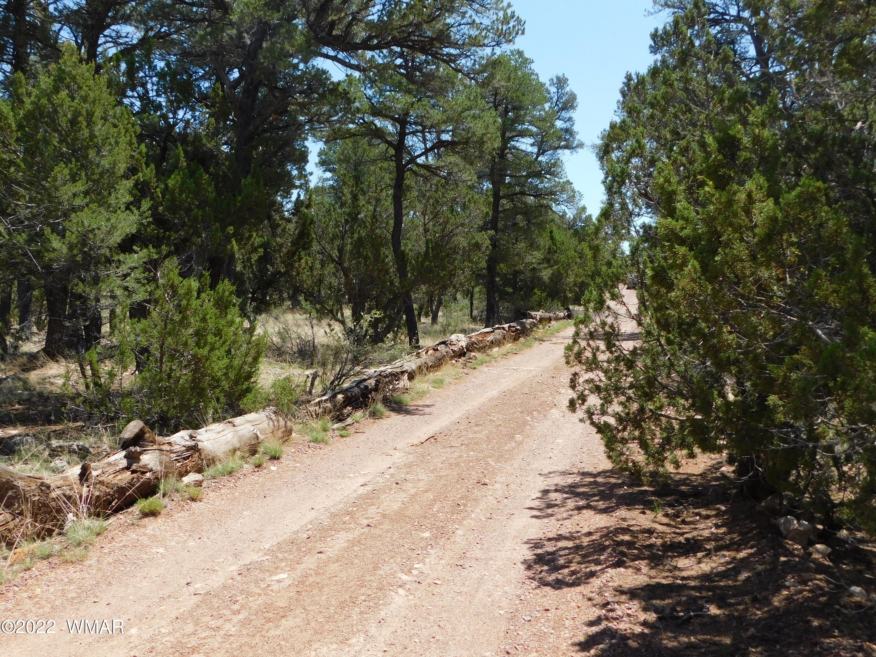1919 Elk Road Heber, AZ 85928 - Photo 2 of 15