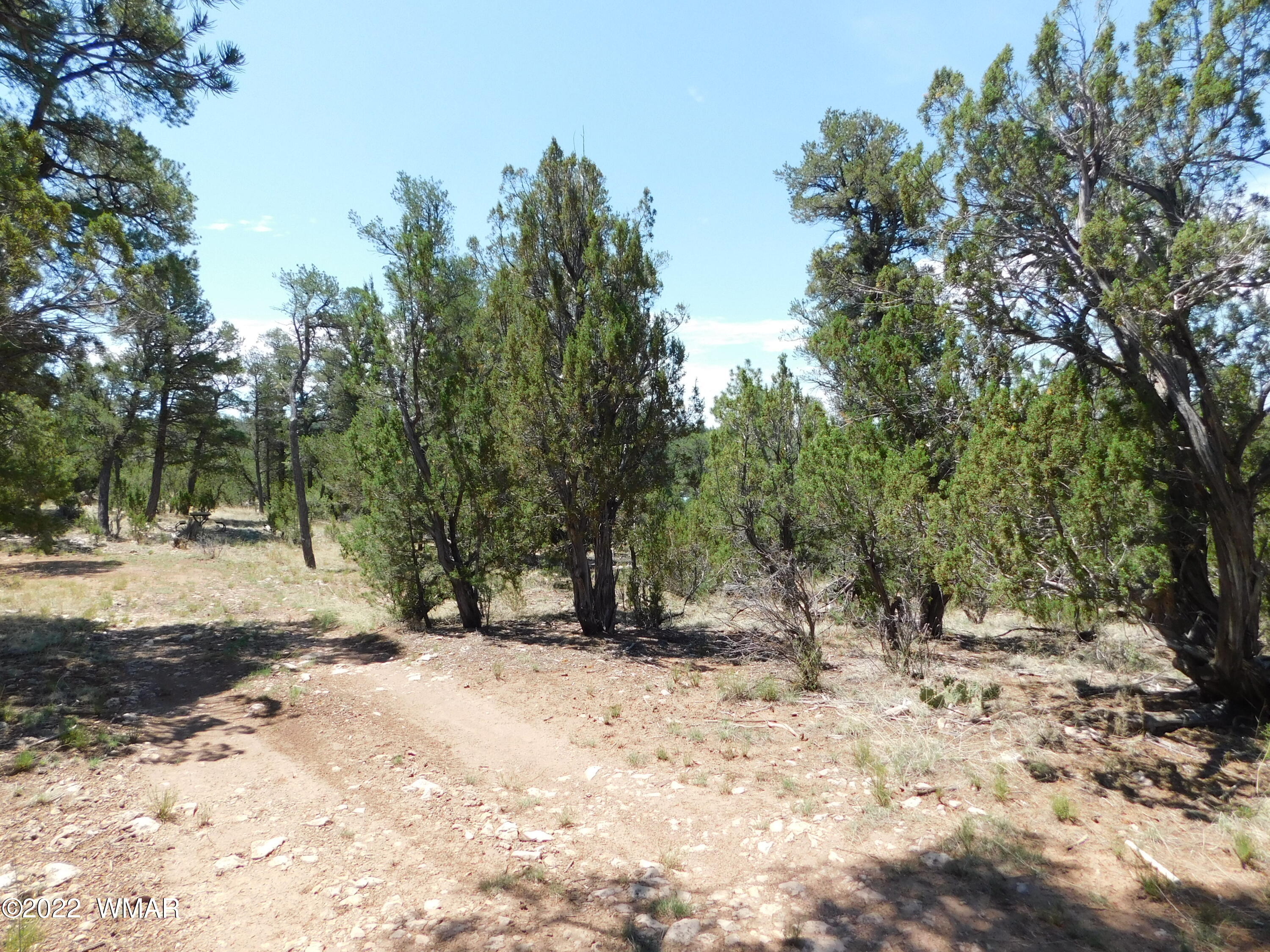 1919 Elk Road Heber, AZ 85928 - Photo 3 of 15