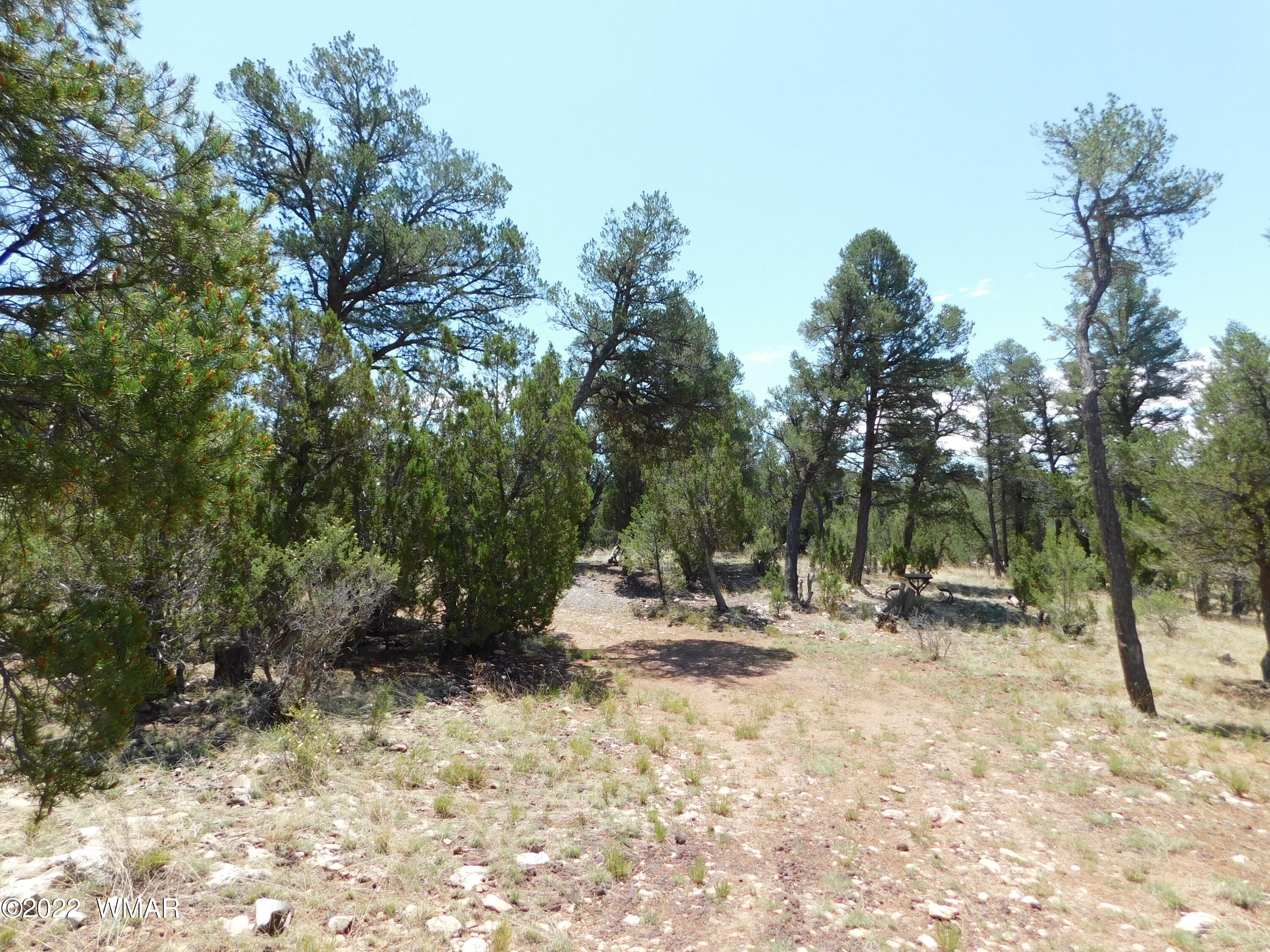 1919 Elk Road Heber, AZ 85928 - Photo 4 of 15
