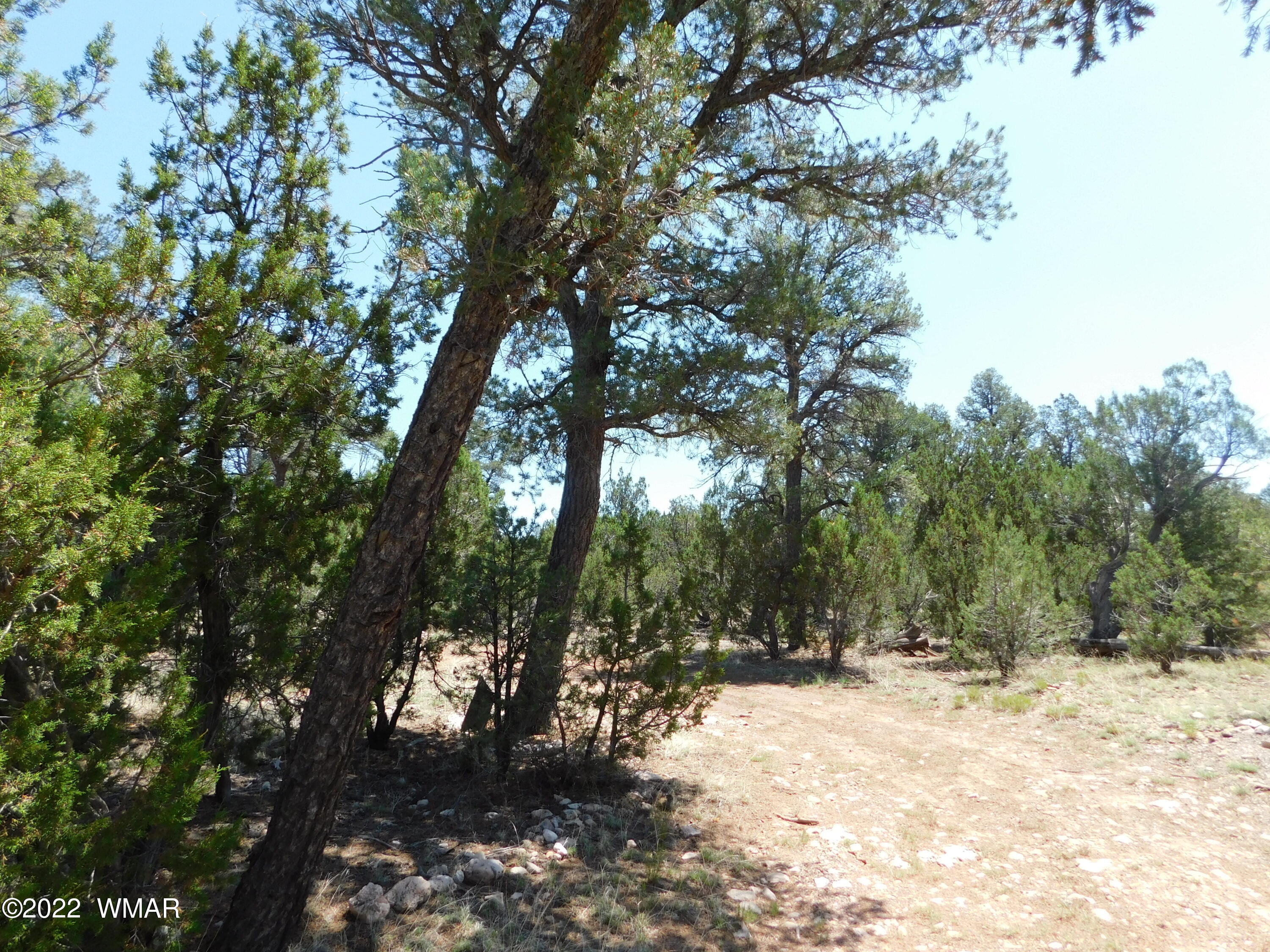 1919 Elk Road Heber, AZ 85928 - Photo 5 of 15