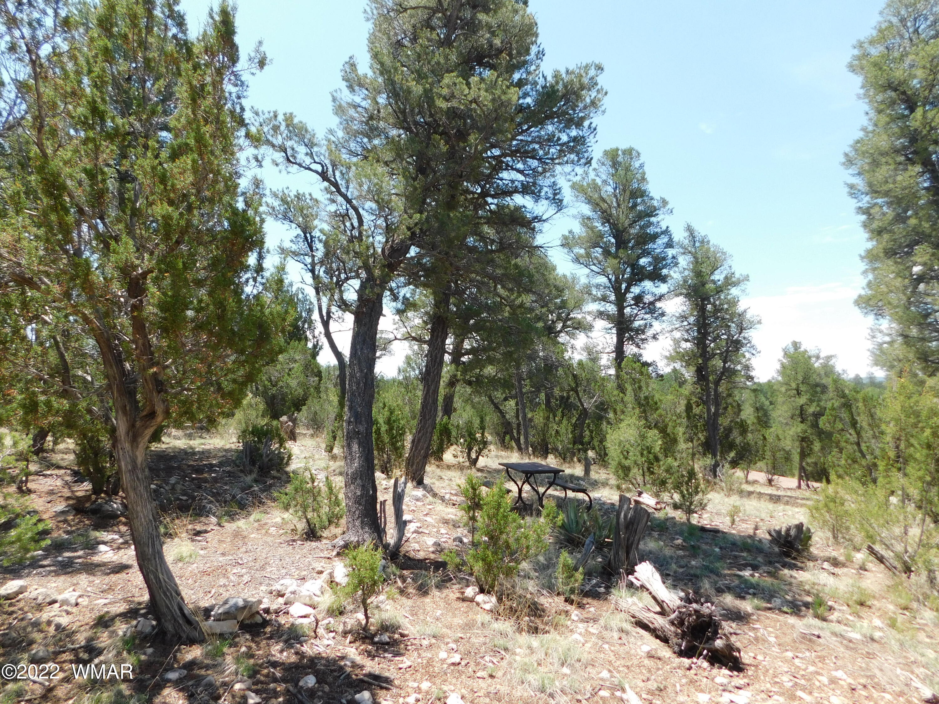 1919 Elk Road Heber, AZ 85928 - Photo 6 of 15