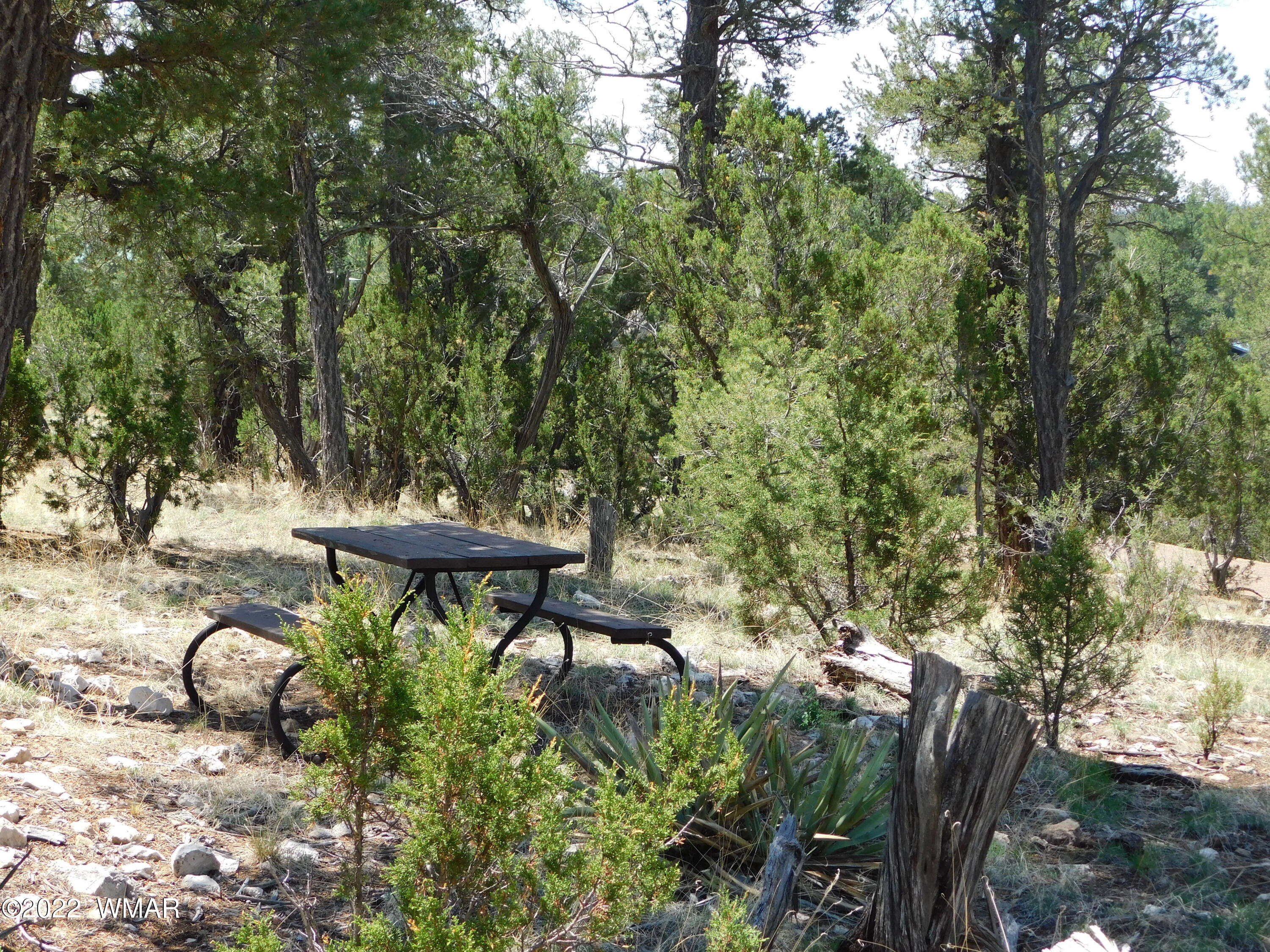 1919 Elk Road Heber, AZ 85928 - Photo 8 of 15