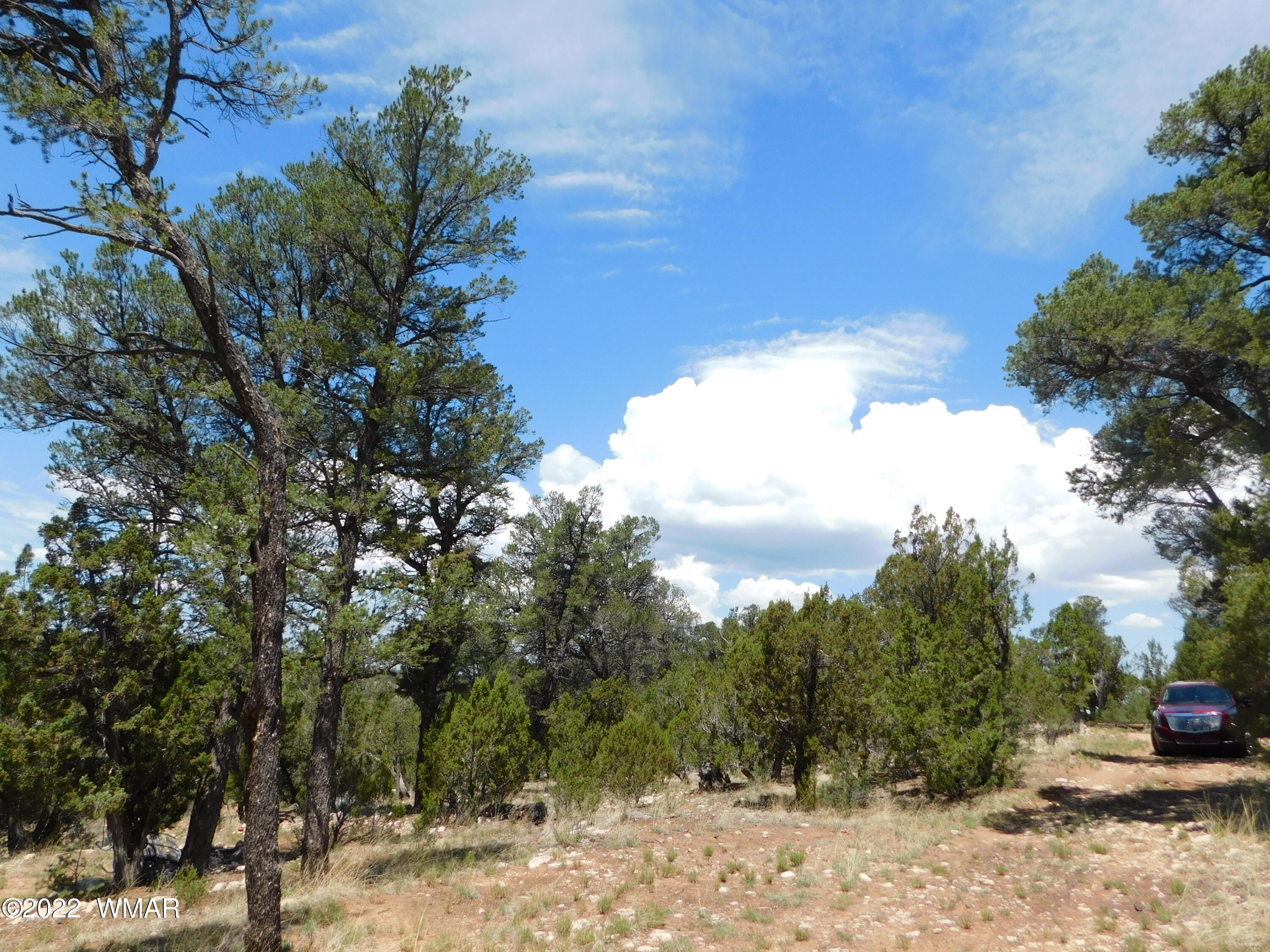 1919 Elk Road Heber, AZ 85928 - Photo 9 of 15