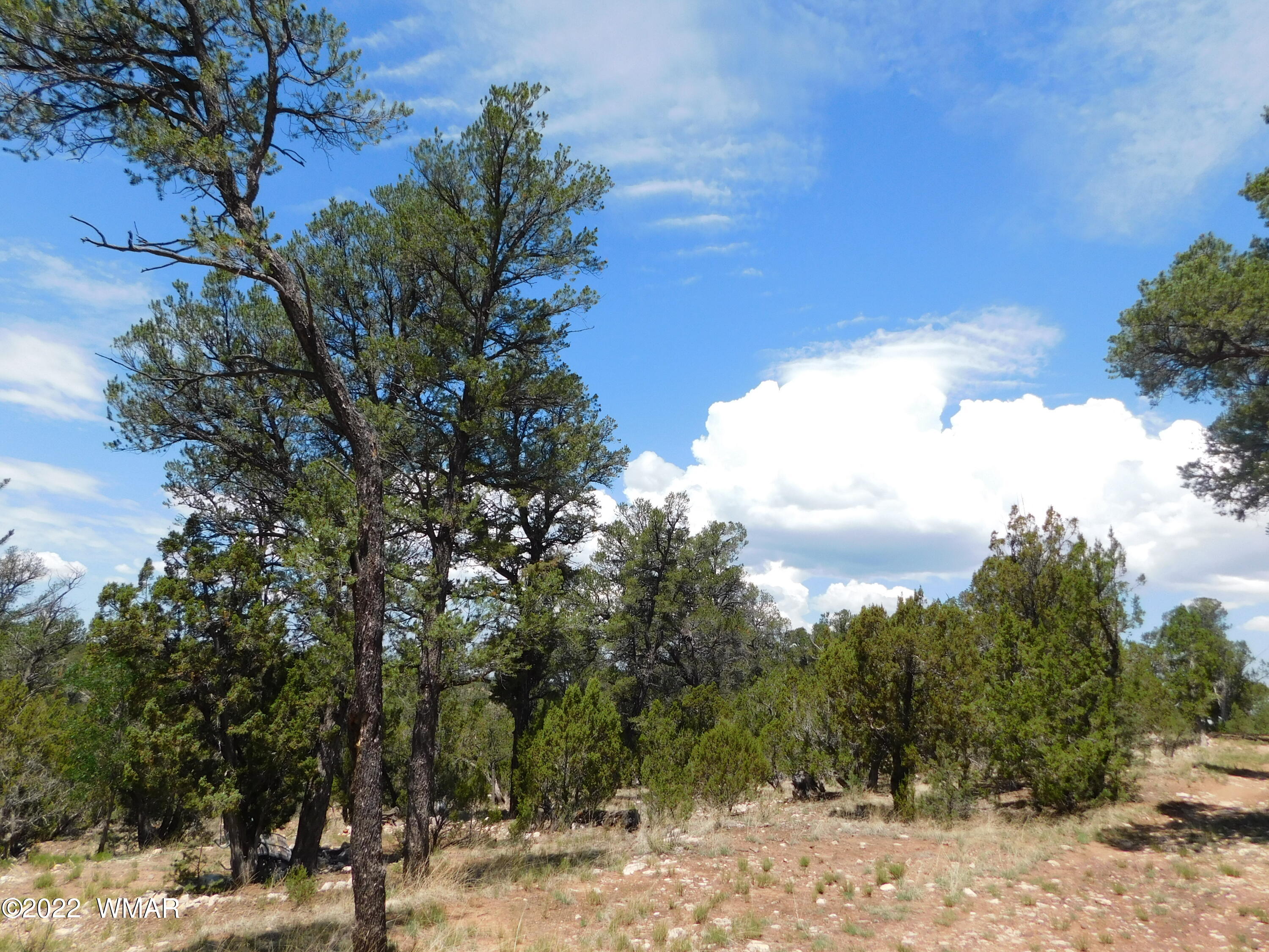 1919 Elk Road Heber, AZ 85928 - Photo 10 of 15