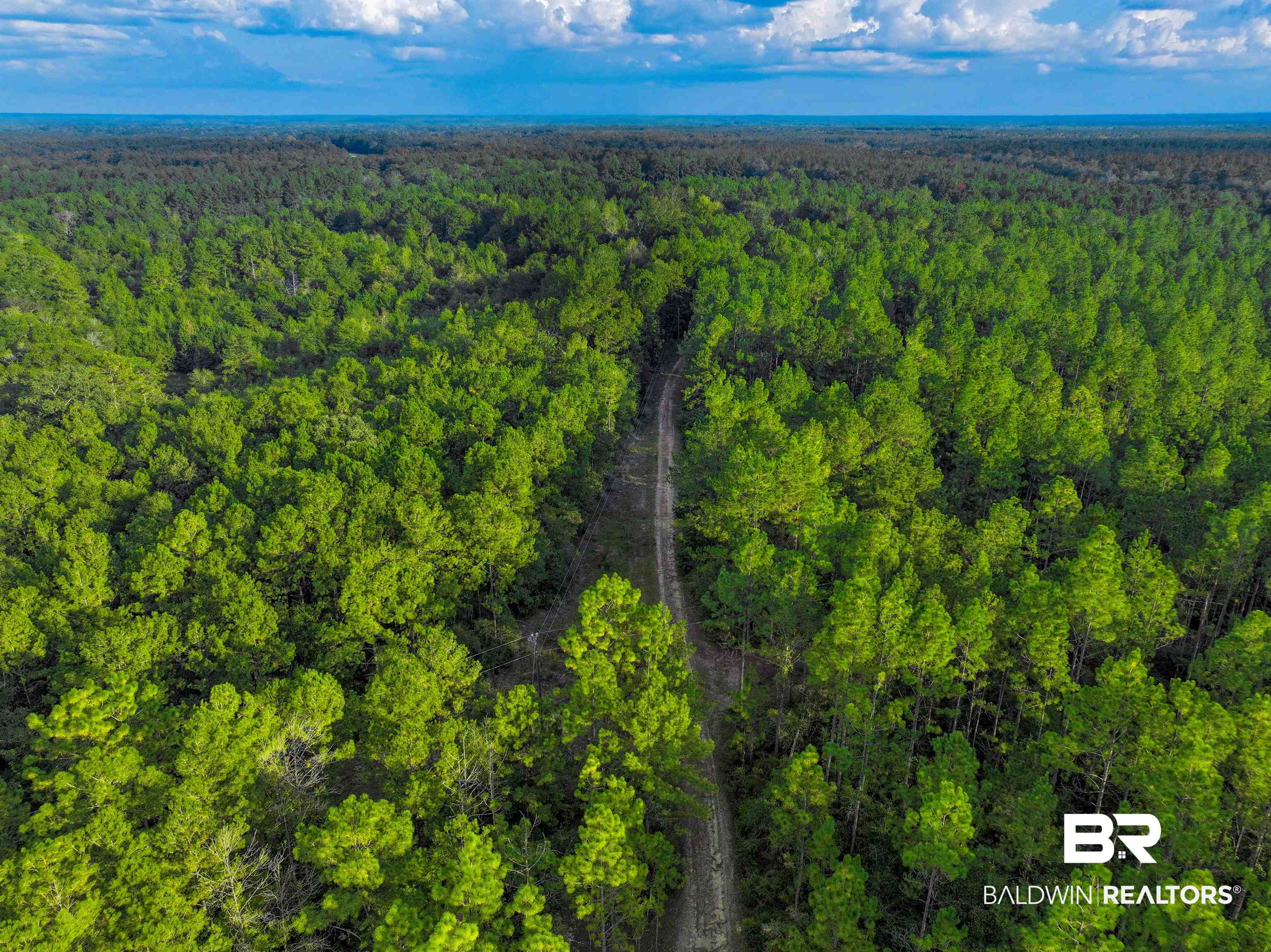 3346 Hoomesville Road Brewton, AL 36426 - Photo 6 of 16 Aerial overview of property's location featuring a forest