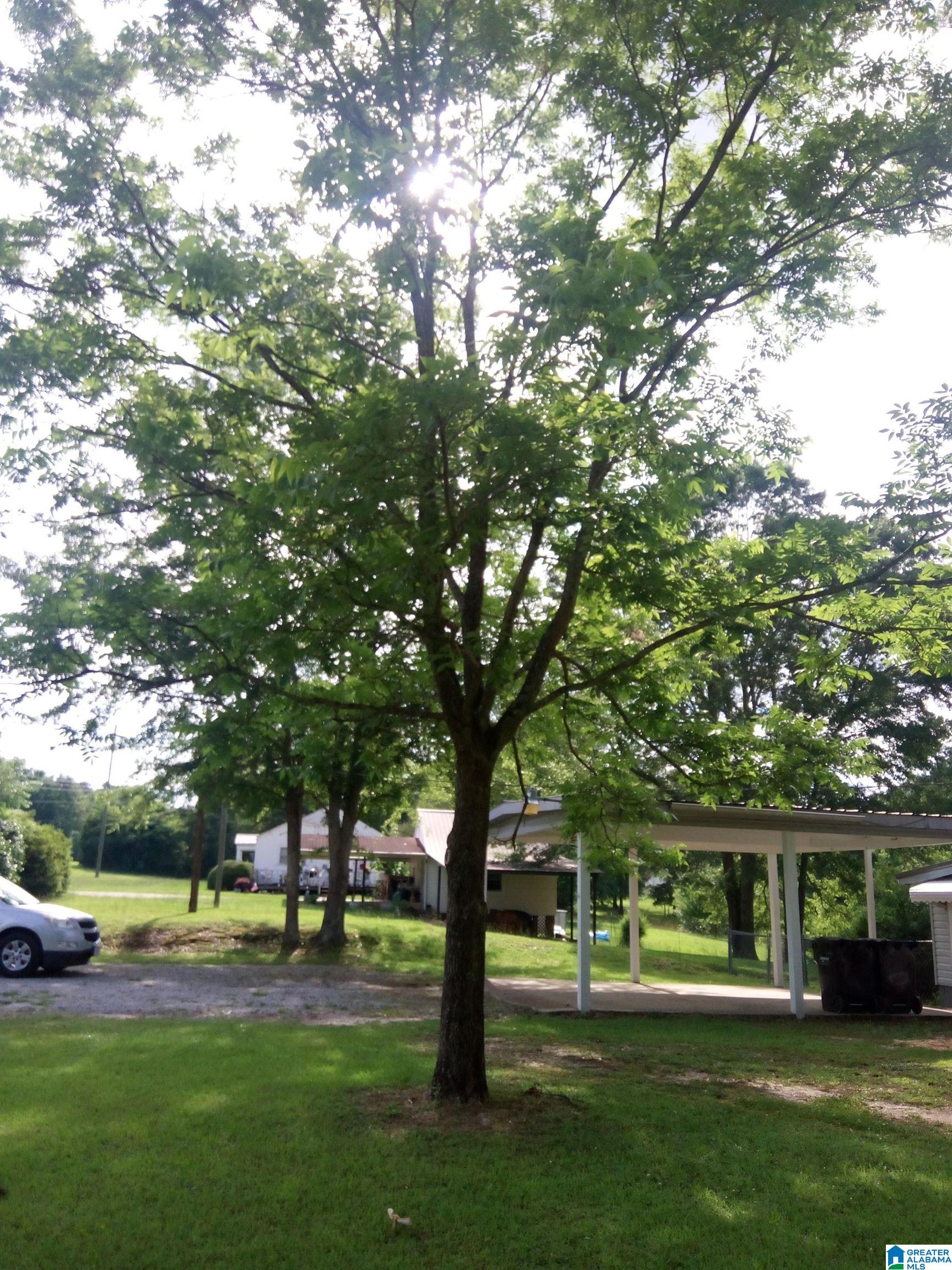 995 Rock Mills Road Roanoke, AL 36274 - Photo 34 of 35